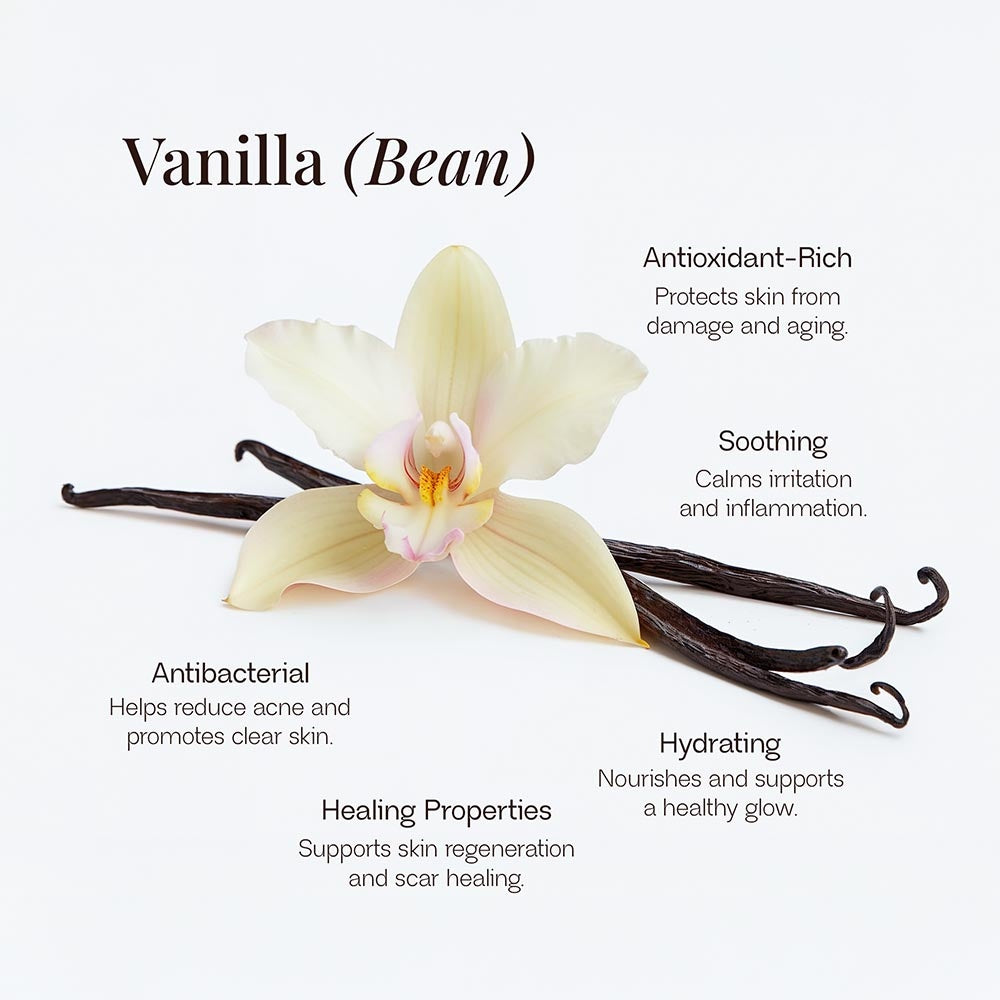 Tallow Touch: Whipped Tallow Cream with Vanilla Bean for Dry, Sensitive & Melanin-Rich Skin