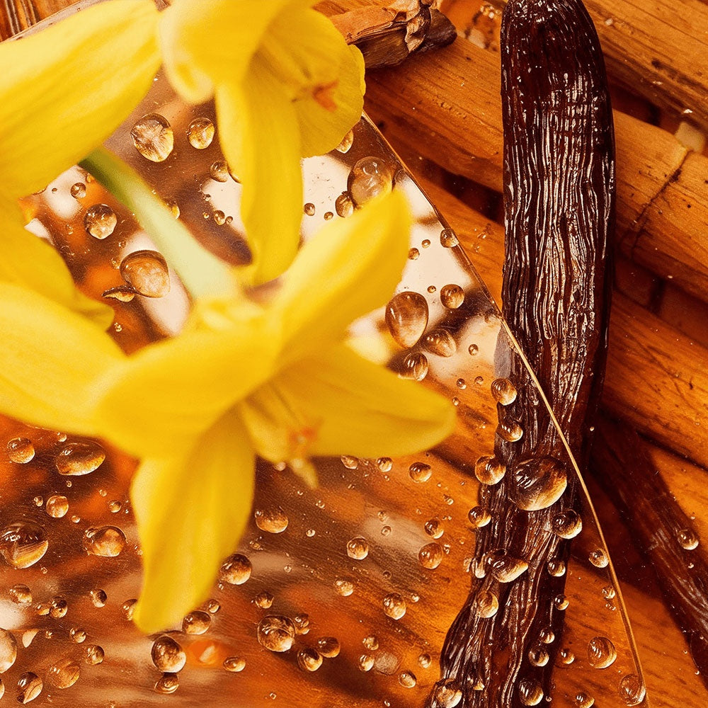 Tallow Touch: Whipped Tallow Cream with Vanilla Bean for Dry, Sensitive & Melanin-Rich Skin