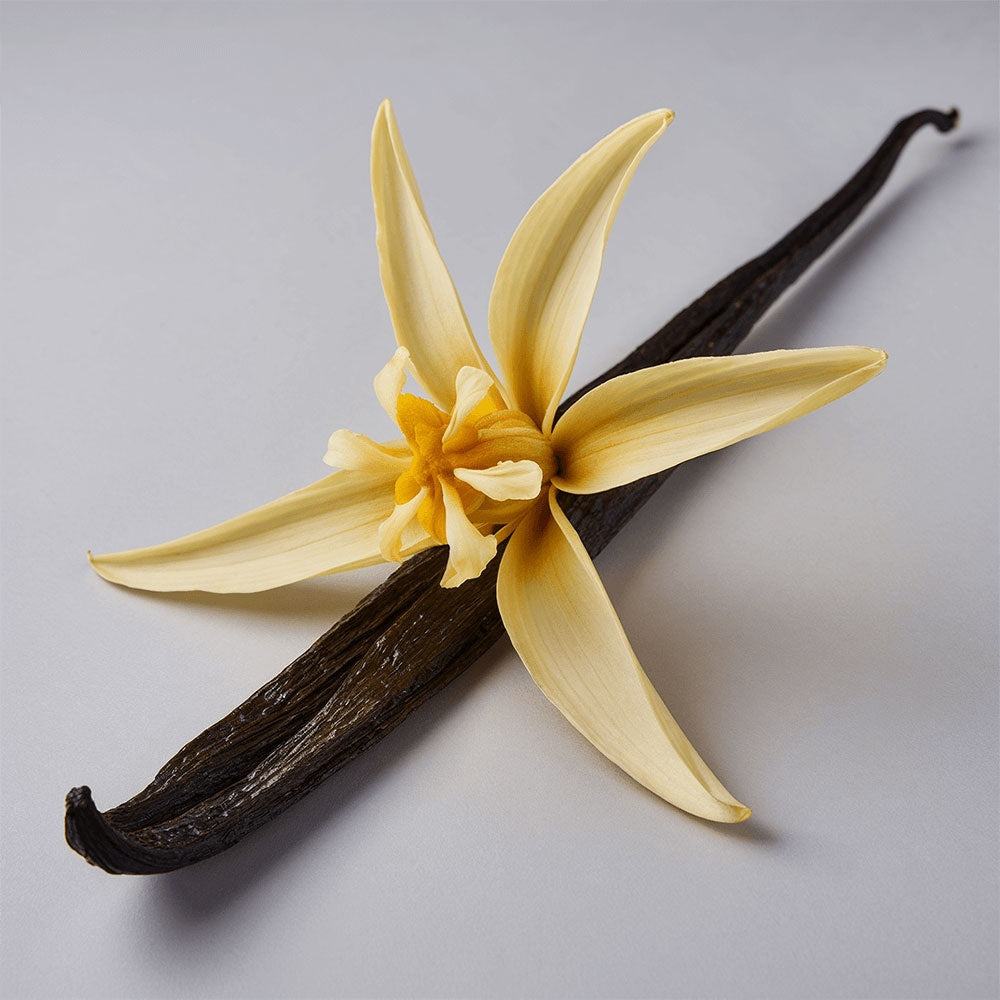 Tallow Touch: Whipped Tallow Cream with Vanilla Bean for Dry, Sensitive & Melanin-Rich Skin