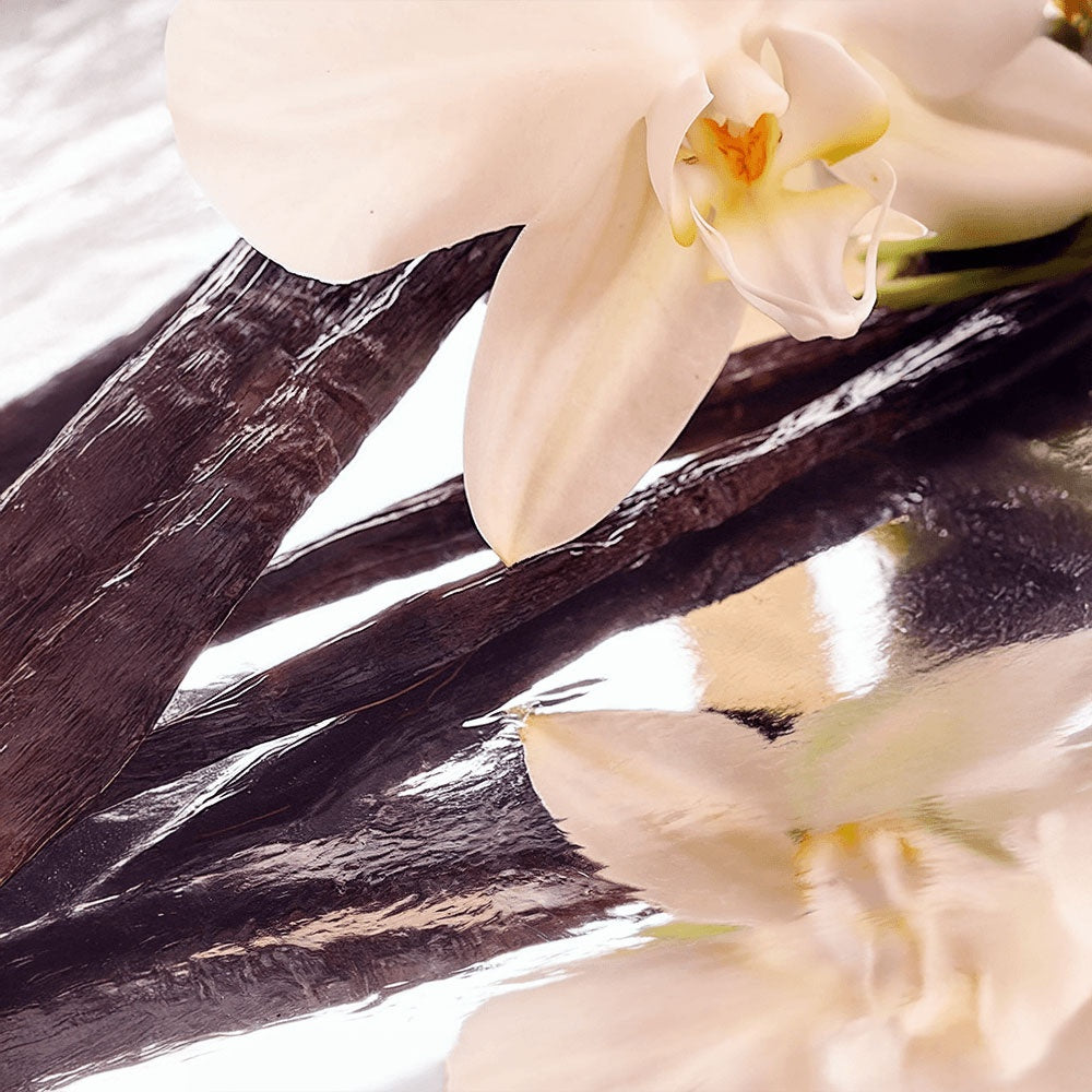 Tallow Touch: Whipped Tallow Cream with Vanilla Bean for Dry, Sensitive & Melanin-Rich Skin